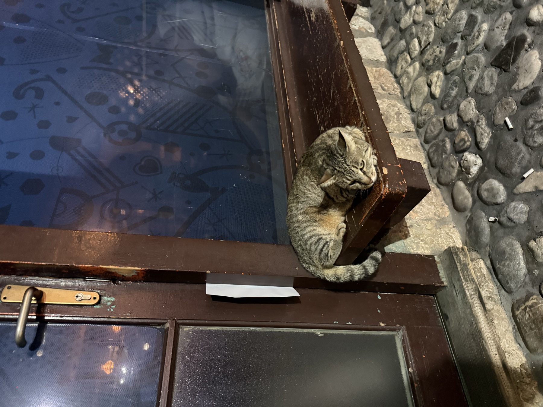 A tabby cat curled up on a wooden window ledge beside a cobblestone street at dusk