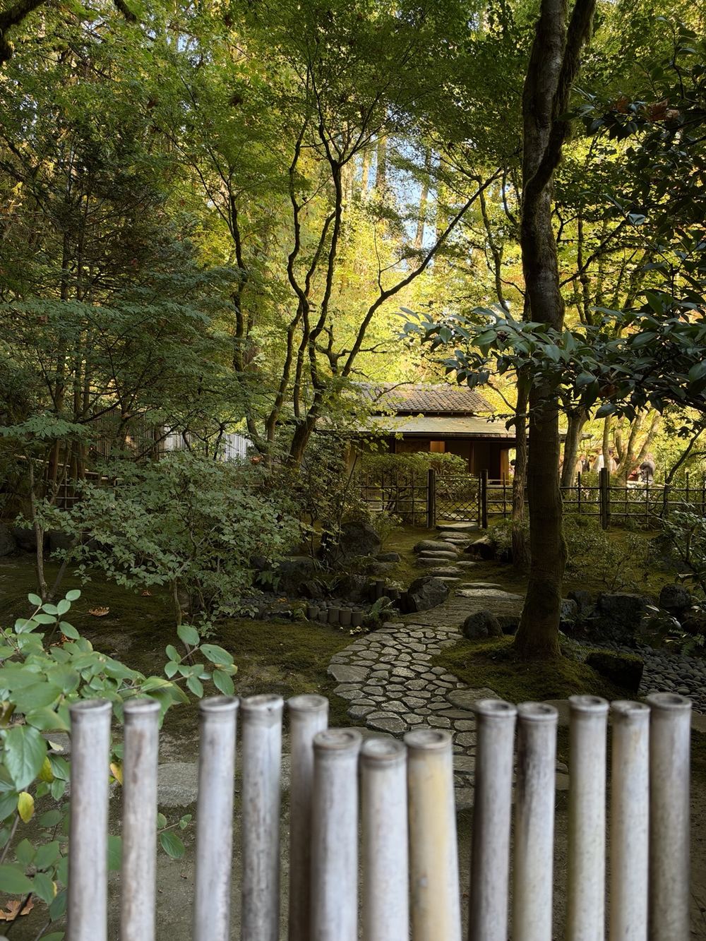 Curving stepping-stone path through a green Japanese garden